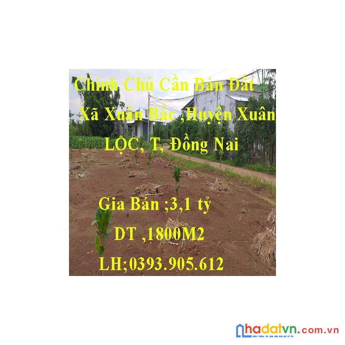 Chính chủ bán đất trồng cây lâu năm diện tích 1800m2. huyện xuân lộc, đồng nai