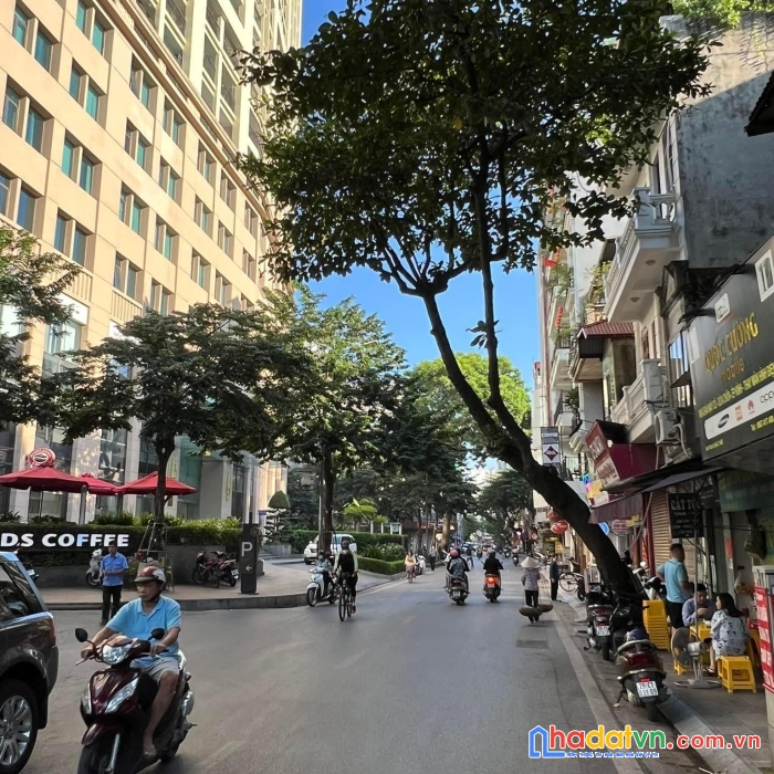 Đất vàng tại mặt phố mai hắc đế - trung tâm quận hai bà dt 298m2 mt 11m -- kinh doanh -- 127 tỷ
