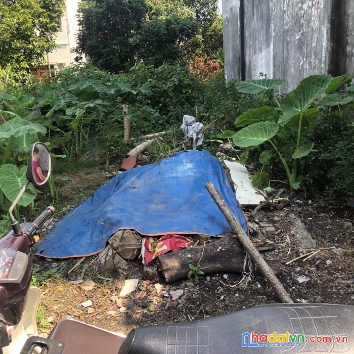 Ngon bổ rẻ - siêu siêu hot
77m đất tổ 9 yên nghĩa - 2 mặt thoáng- ô tô vào