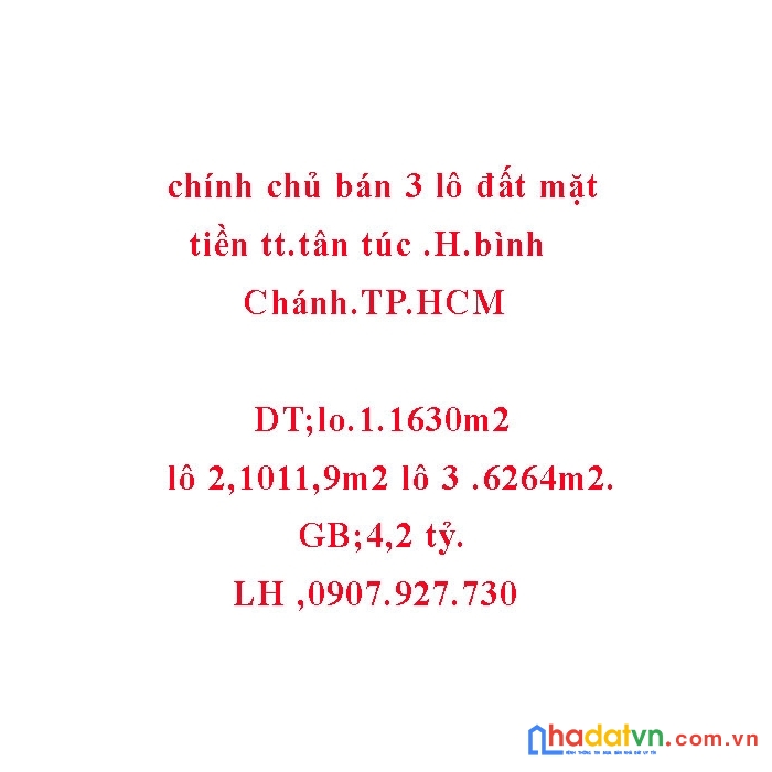 Chính chủ bán 3 lô đất liền kề mặt tiền đường tt tân túc, huyện bình chánh, hồ chí