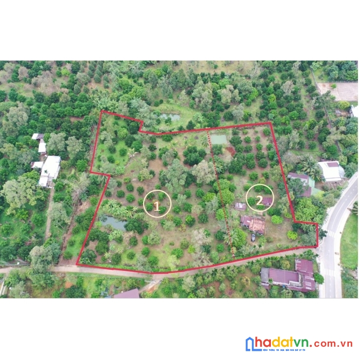 Chính chủ cần bán vườn cây ăn trái 10.000m2 view đẹp. huyện đạ huoai, lâm đồng.