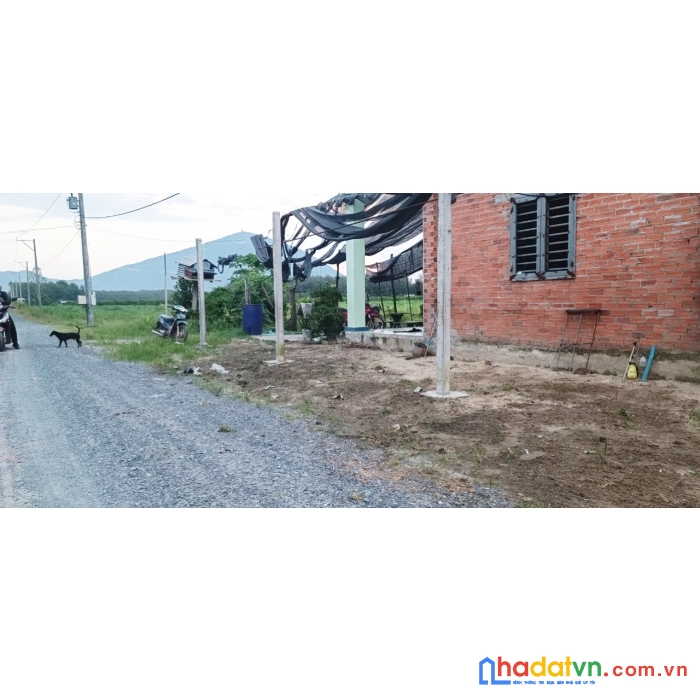 520tr đất thổ  cư chính chủ tân bình thành phố tây ninh