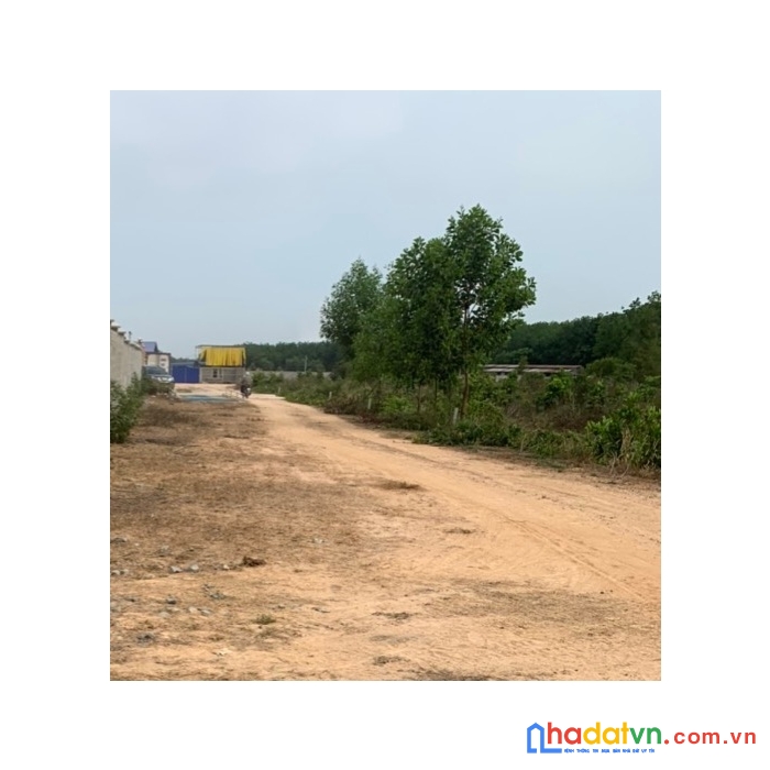 Bán 1 công đất vườn chính chủ tây ninh  mt đường 10m gần chợ  