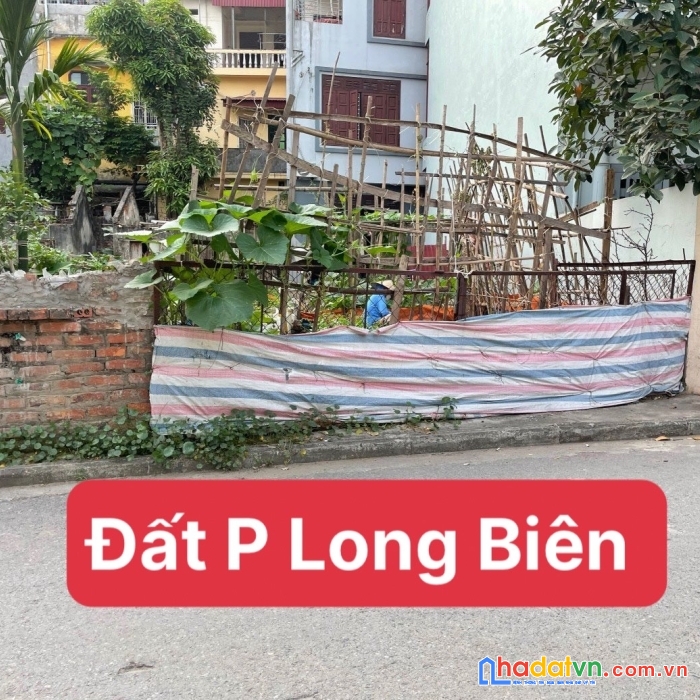 Đất phường long biên, tư đình, phân lô cb, ô tô tránh, thông tứ phía, 107m, 84tr