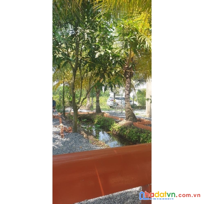 Bán nhà vườn bình lợi bình chánh hẻm xe hỏi vào đến nhà 3241m2 chỉ 6 tỷ 6 thương lượng