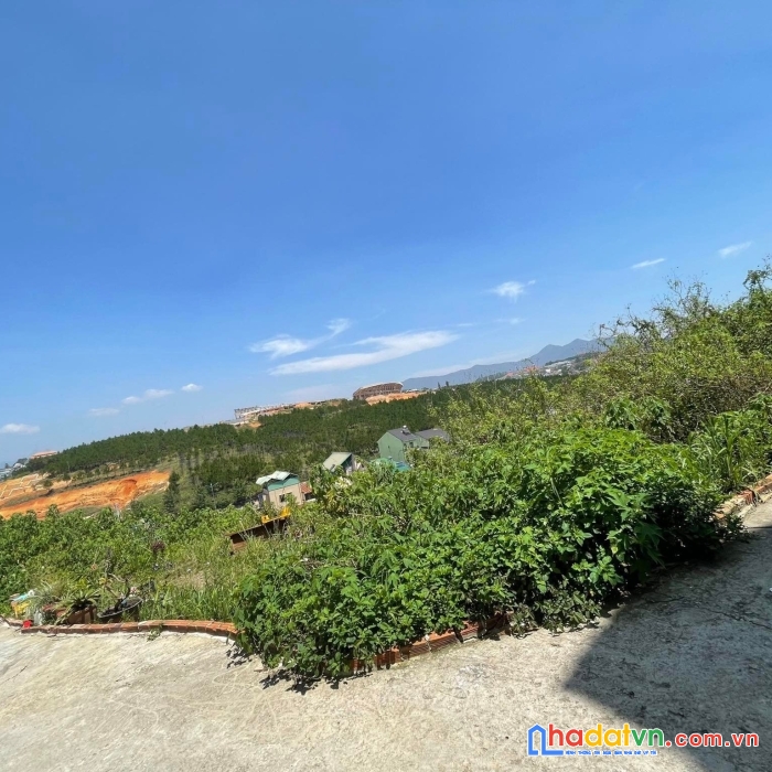 Bán gấp đất xd view thoáng đường cổ loa, đà lạt giá chỉ 4.65 tỷ