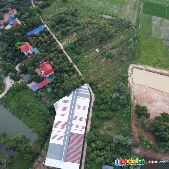 Bán 1180m2 homestay, kho xưởng, ql 14, cạnh hồ ban tiện, sân golf hanoi club
