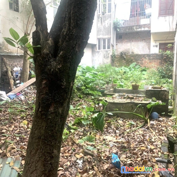 Bán lô đất vàng còn sót lại trung tâm thanh xuân, 216m2, chỉ 17.5 tỷ