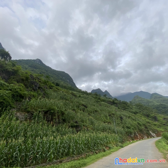 Đất nền hà giang đón sóng cao tốc tuyên quang – hà giang