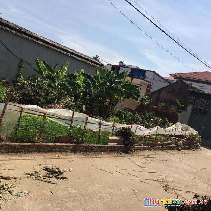Chỉ 850tr có ngay (hàng đẹp) 52m² tại xã tân dân-sóc sơn-hà nội