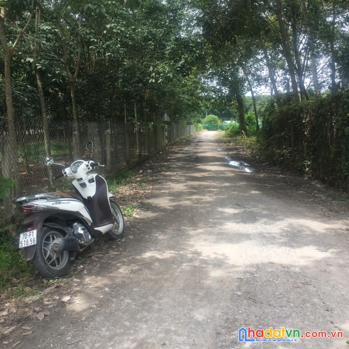 Đất trà võ thạnh đức gò dầu tây ninh