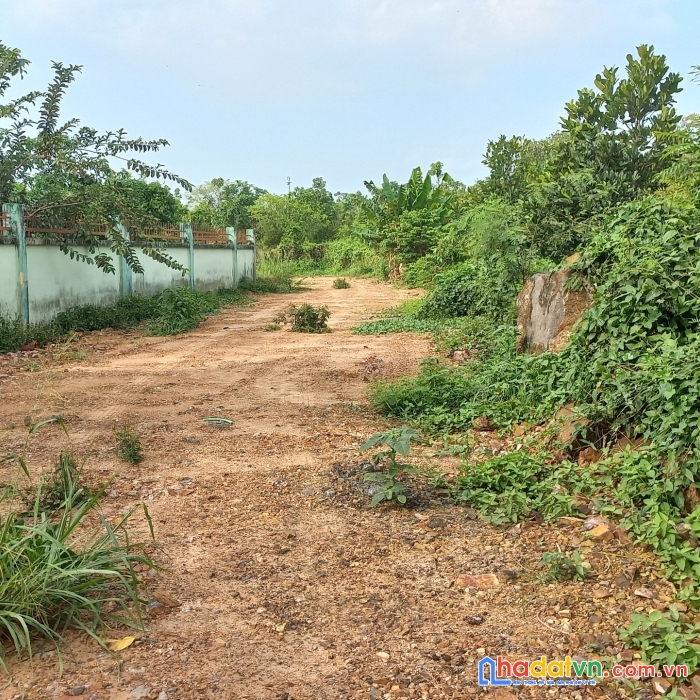 Bán 13000m đất mặt tiền tà lài xã phú lộc, huyện tân phú, đồng nai