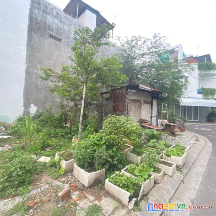 Bán gấp lô đất 2 mặt tiền đường nhựa khu tđc vcn phước long hàng hiếm giá rẻ ko có lô thứ 2.