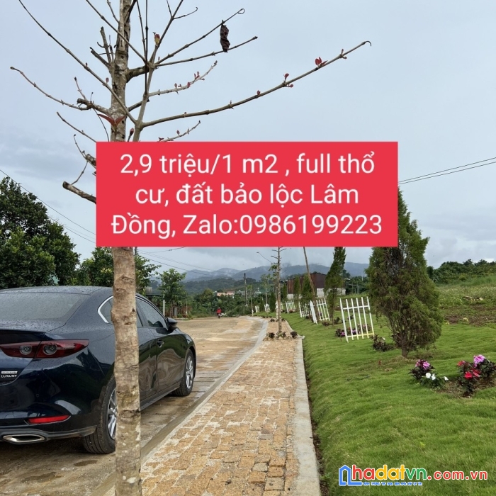 Cần bán gấp lô đất đẹp gía đầu tư tại lộc quảng_ bảo lộc_ lâm đồng.