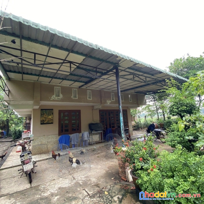 Không đâu rẻ hơn, chỉ 5tr.m, 1500m, nhị bình, hocmon