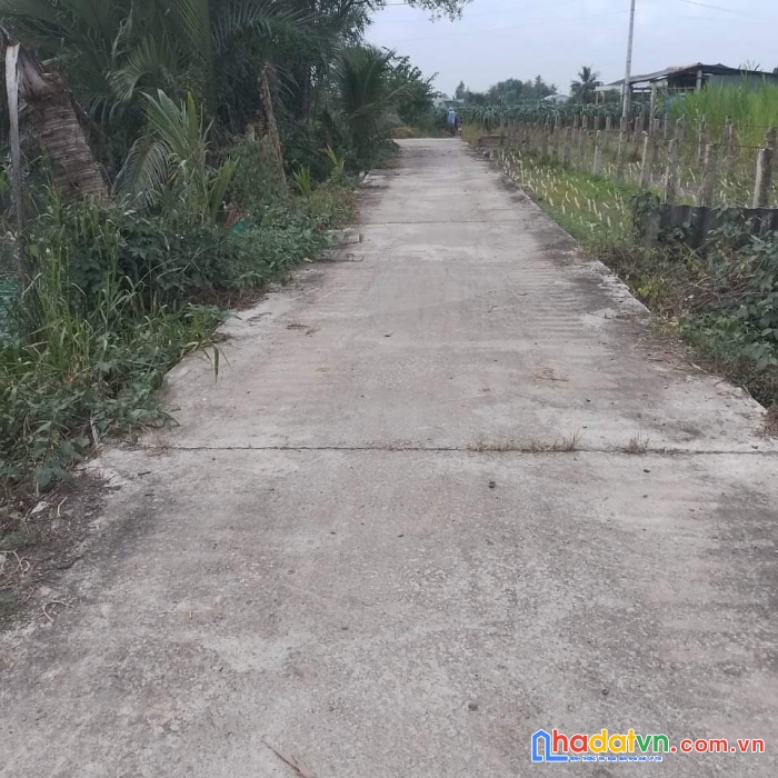 Bán đất làm nhà vưởn xã phước tân hưng châu thành long an giá 460tr