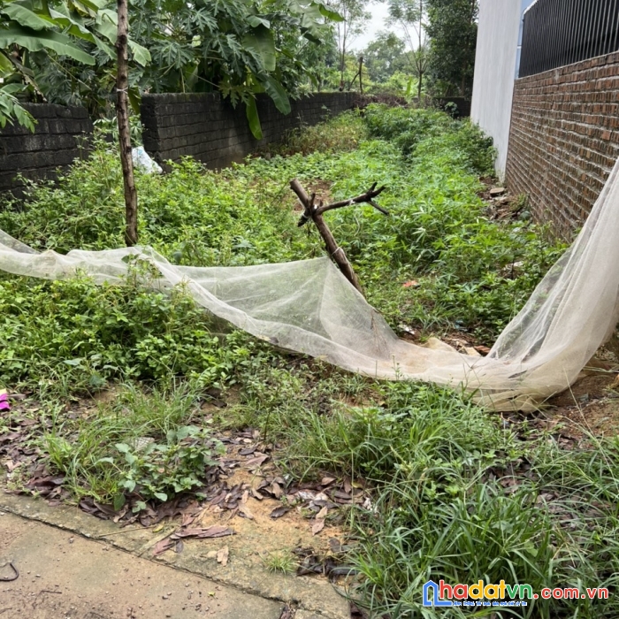 137m phú hữu tân xã, ngay gần trường đh fpt và công nghệ cao