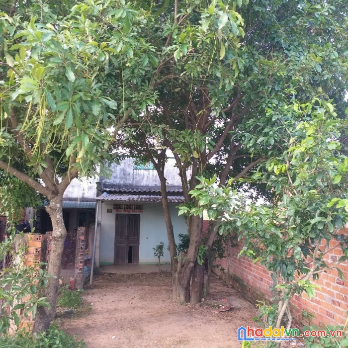 Chính chủ cần bán nhà xã tân lập , hàm thuận nam , bình thuận