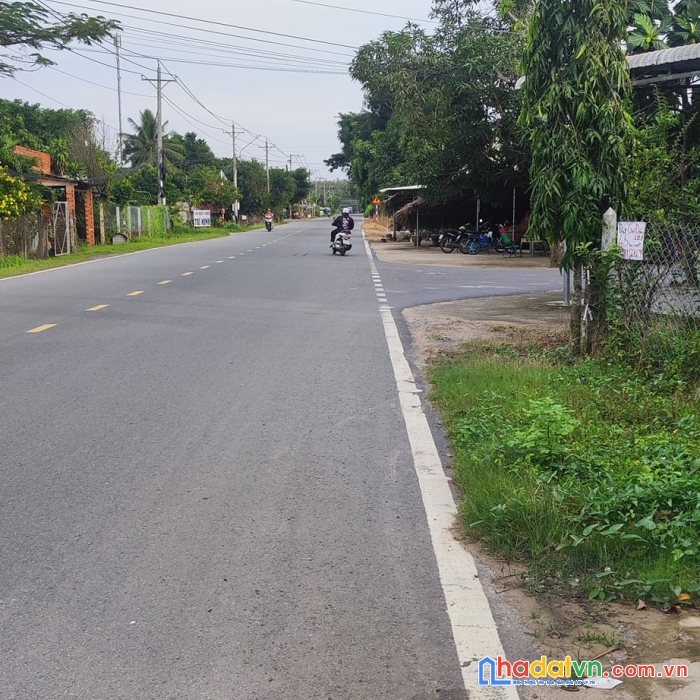 Bán đất cao su 2.277,7m2 cây da - hiệp thạnh-gò dầu. giá chỉ 966.000/1m2 ( hnk )