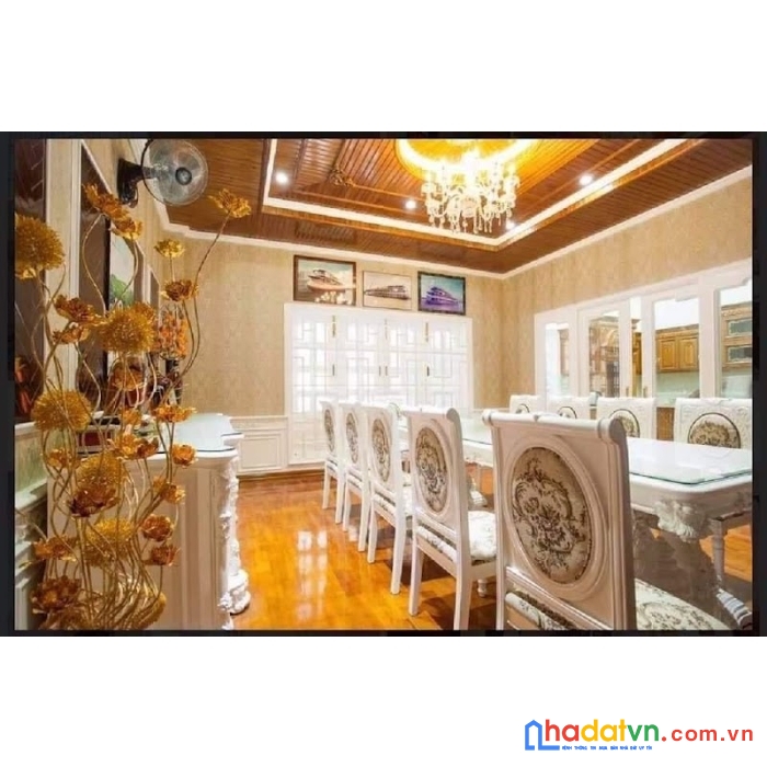 Bán gấp dinh thự mặt tiền thoại ngọc hầu, tân phú, 429m2, xa hoa lộng lẫy