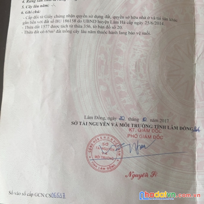 Sở hữu ngay lô đất đẹp thị trấn đinh văn huyện lâm hà, lâm đồng