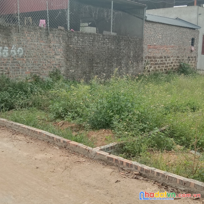 (hàng chính chủ) bán gấp 71m2 tại lập trí, xã minh trí, huyện sóc sơn. đường ô tô 7 chỗ.
