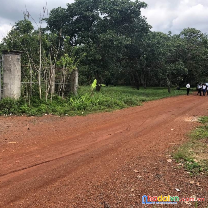 Bán lỗ đất trung tâm chỉ 300tr công chứng ngay