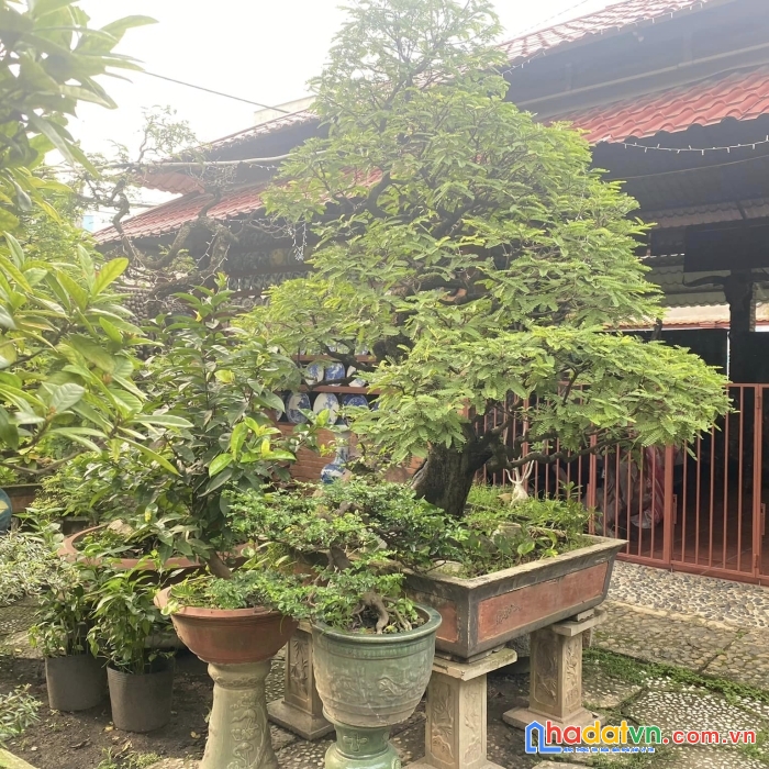 Thương lượng tốt nhà 2 mặt tiền hiệp thành 17- q12- 25m x 62m chỉ 40 tỷ