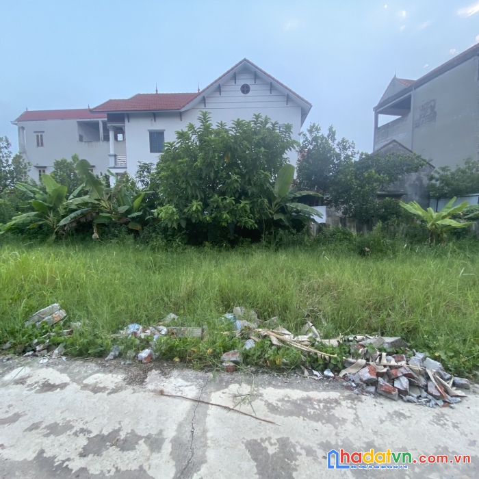 Lô a6 đấu giá x2 lương nỗ - tiên dương - đông anh. giá 41,5tr/m