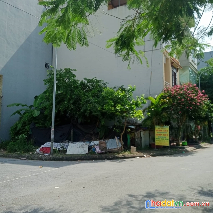 Bán gấp đất dịch vụ dương nội, hà đông, lô góc, 50m2, giá 6 tỷ