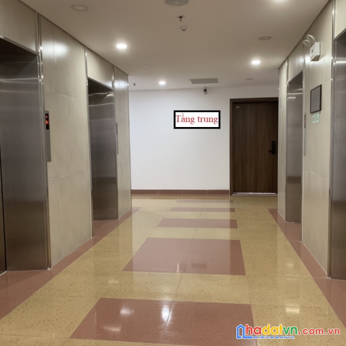 Bán căn hộ tầng trung, tòa n03-t6 khu ngoại giao đoàn, bắc từ liêm, hà nội.