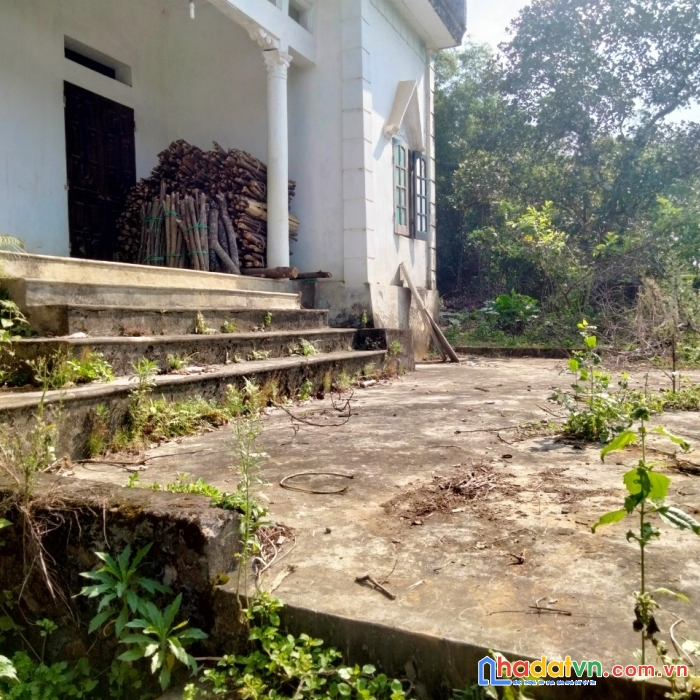 Bán nhanh mảnh đất 1.25ha 400m thổ cư đất thoải giá chỉ 1.2x tỷ tại lương sơn - hòa bình