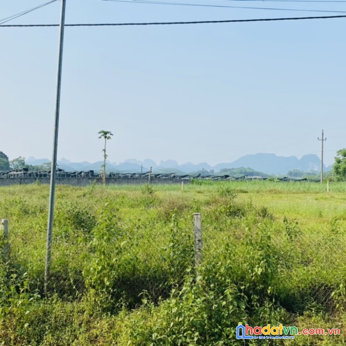 Chính chủ gửi bán lô đất 3000m2  có 544,4m2 đất thổ cư vài bước chân ra sông bôi tại kim bôi - hòa