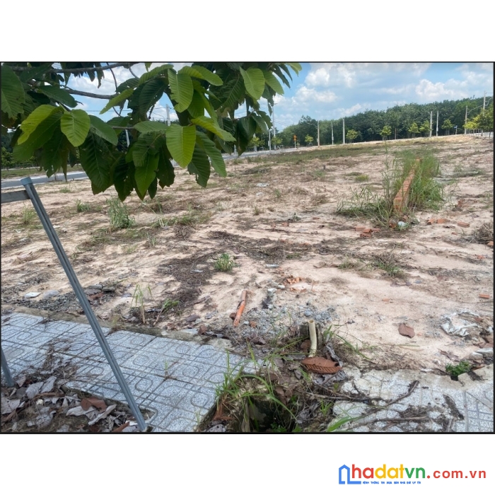 Chính chủ bán đất bàu bàng 100m2 đường 15m shr 1.220ty