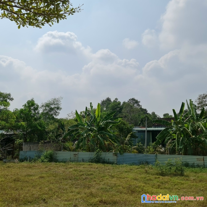 Chính chủ cần bán nhà  + đất ở  xã tân an hội - huyện củ chi - tp hồ chí minh