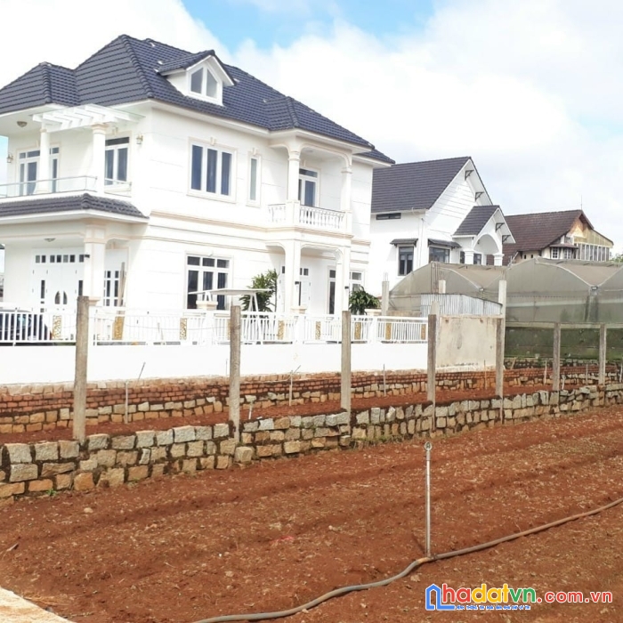 Cần bán gấp đất nền biệt thự đường ô tô tránh nhau tại vạn thành, đà lạt 300m2