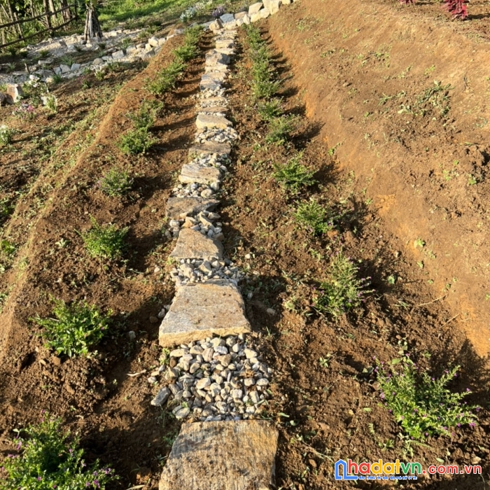 Đại lý đất mộc châu giá chỉ từ 500 ngàn - 1tr/m2. lh em linh 0933.56.1998