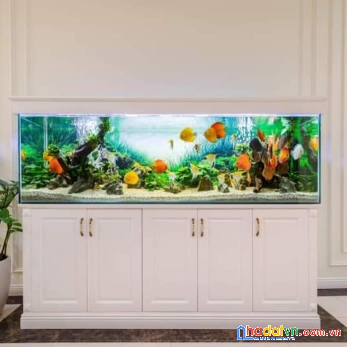 Bán gấp, ô tô vào nhà phan bội châu 43m x 5 tầng, mt 5,2 m, giá 9,15 tỷ