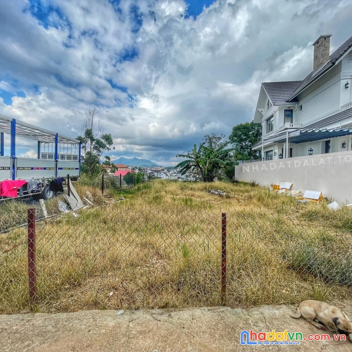 Bán đất đồi ngô quyền đà lạt view toàn cảnh thành phố