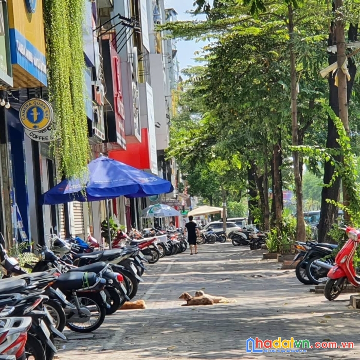 Cực phẩm mặt phố xã đàn 80mx8txmt7m, thang máy, vỉa hè, ô tô, kd, giá 65 tỷ. lh: 0366051369