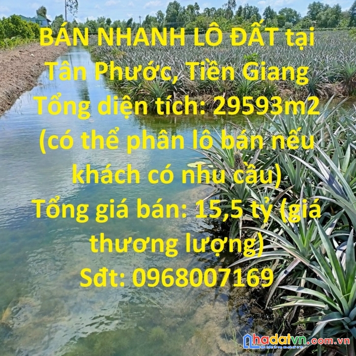 Bán nhanh lô đất tại tân phước, tiền giang