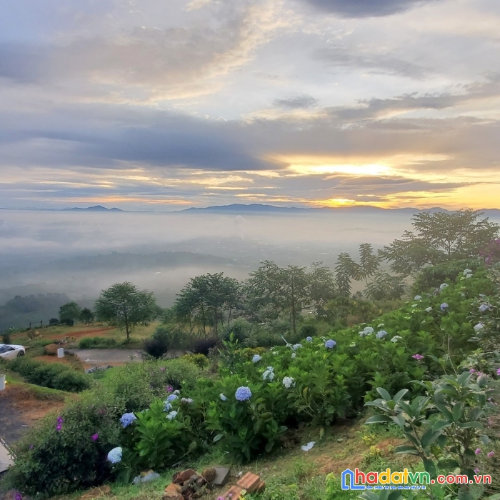 Đất nền nghỉ dưỡng sổ sẵn tp. bảo lộc -  giá rẻ chỉ 700tr