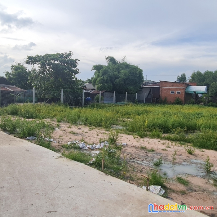 Đất trâm vàng thanh phước gò dầu tây ninh