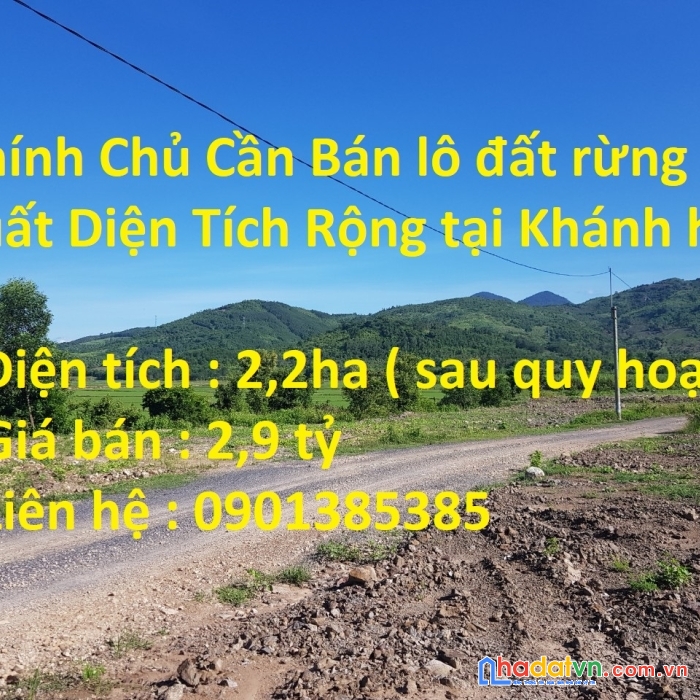 Chính chủ cần bán lô đất rừng sản xuất diện tích rộng tại khánh hoà
