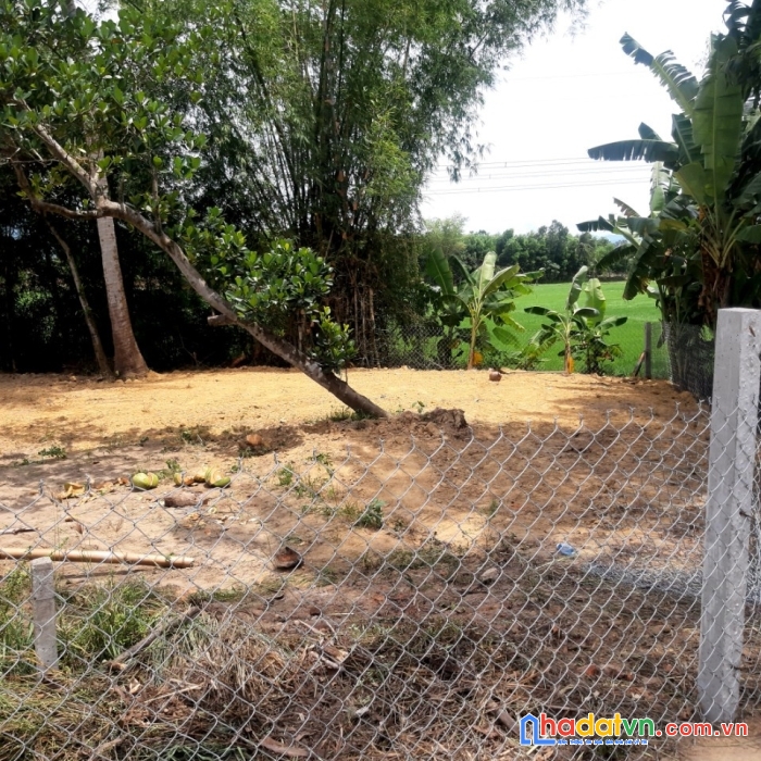 Chính chủ bán đất tại hoà phong - hoà vang