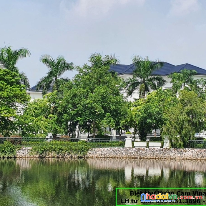 Chính chủ bán biệt thự vườn cam 286m2 hướng đông nam giá thị trường mềm