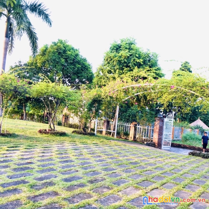 Cần thanh khoản 1000m2 100 thổ cư tại cư yên, lương sơn, hoà bình . giá 5,x tỷ