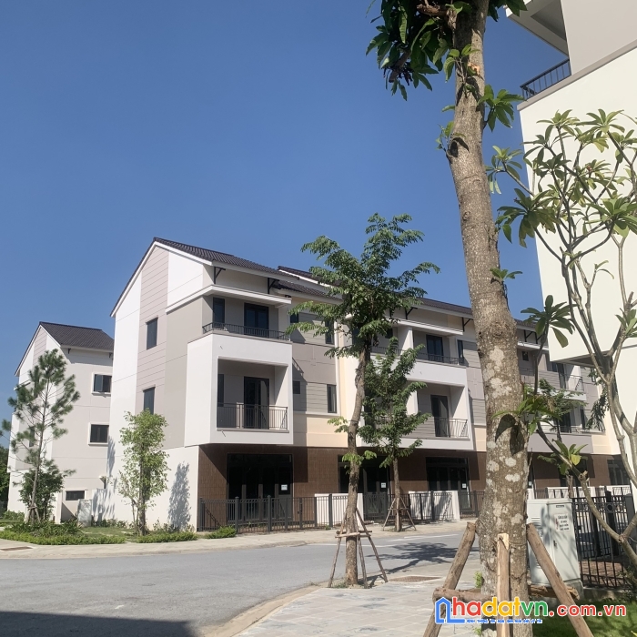 Chính chủ bán nhà phố căn góc trục chính hàng hiếm siêu đẹp