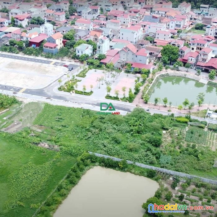 Bán đất đấu giá liên hà đông anh 2022