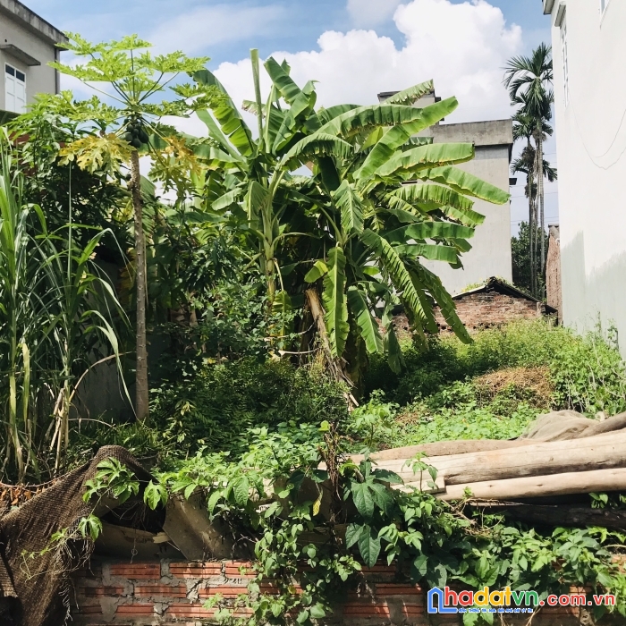 Bán tháo 100m đình trung đường thông ô tô chỉ 2x, mt 6m rộng rãi